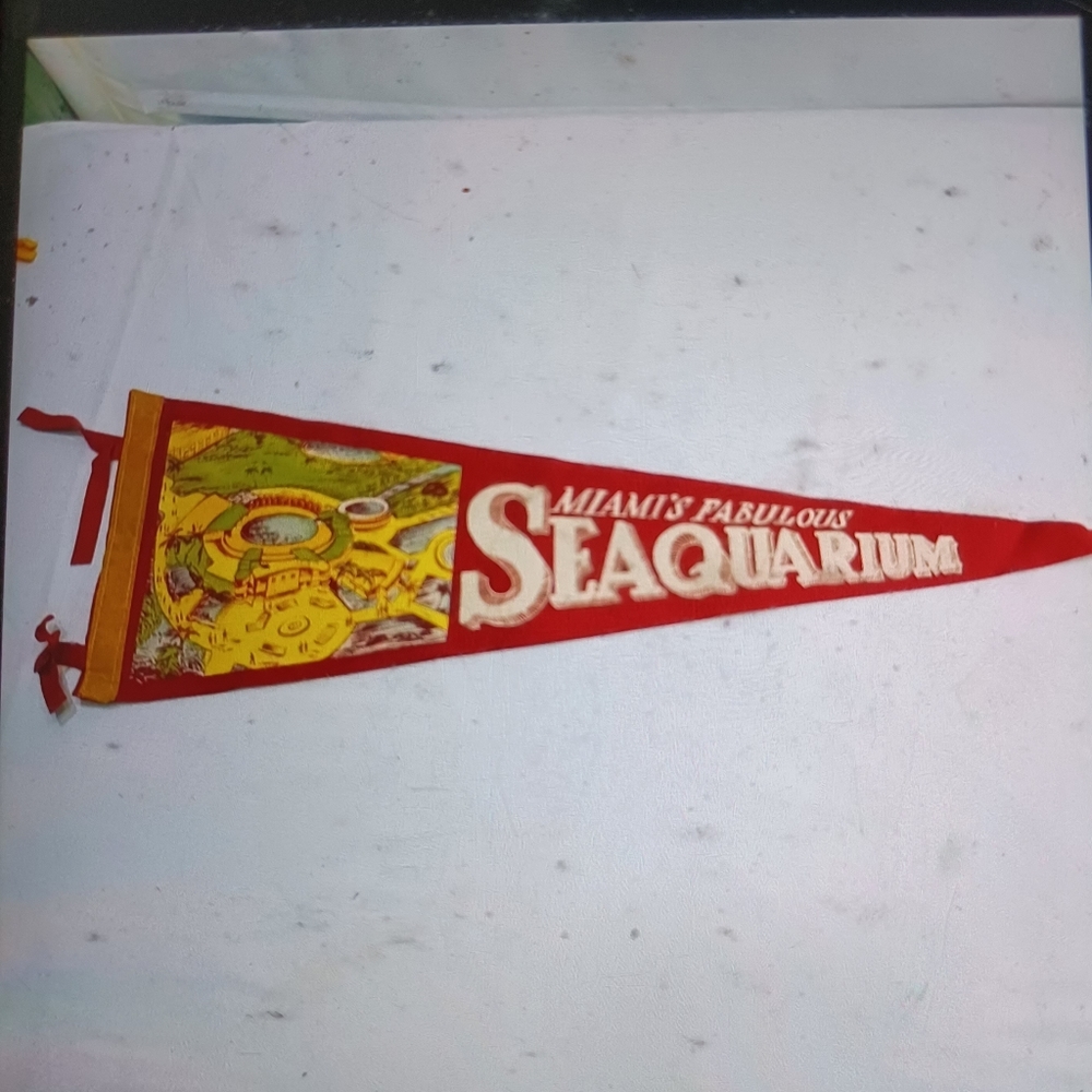 Vtg Seaquarium Miami Florida pennate 1950s-60s